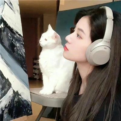 犬心犬意
